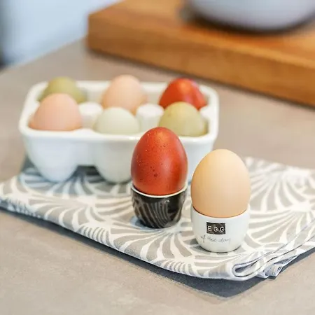 Lovely&cool Stil-haus フェーマルン